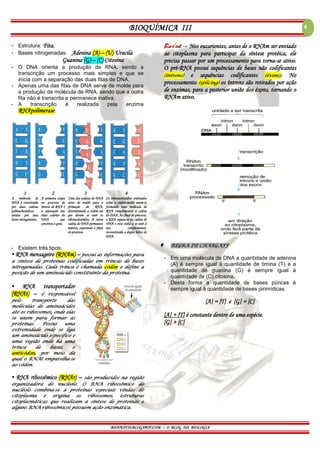 BIOQUÍMICA III
BIOVEST10.BLOGSPOT.COM – O BLOG DA BIOLOGIA
4
- Estrutura: Fita.
- Bases nitrogenadas: Adenina (A) – (U) Uracila
Guanina (G) – (C) Citosina
- O DNA orienta a produção de RNA, sendo a
transcrição um processo mais simples e que se
inicia com a separação das duas fitas de DNA.
- Apenas uma das fitas de DNA serve de molde para
a produção da molécula de RNA, sendo que a outra
fita não é transcrita e permanece inativa.
- A transcrição é realizada pela enzima
RNApolimerase.
1 2 3 4
A molécula de
DNA é constituída
por duas cadeias
polinucleotídicas
unidas por suas
bases nitrogenadas.
A primeira etapa
no processo de
síntese de RNA é
a separação das
duas cadeias do
DNA que
constitui o gene.
Uma das cadeias do DNA
serve de molde para a
formação do RNA,
determinando a ordem em
que devem se unir os
ribonucleotídios. A outra
cadeia do DNA permanece
inativa, esperando o final
do processo.
Os ribonucleotídios ordenados
sobre a cadeia-molde unem-se
formando uma molécula de
RNA complementar à cadeia
do DNA. Ao final do processo,
o RNA separa-se da cadeia de
DNA e esta volta a se unir à
sua complementar,
reconstituído a dupla hélice de
DNA.
- Existem três tipos:
▪ RNA mensageiro (RNAm) – possui as informações para
a síntese de proteínas codificadas em trincas de bases
nitrogenadas. Cada trinca é chamada códon e define a
posição de um aminoácido constituinte da proteína.
▪ RNA transportador
(RNAt) – é responsável
pelo transporte das
moléculas de aminoácidos
até os ribossomos, onde elas
se unem para formar as
proteínas. Possui uma
extremidade onde se liga
um aminoácido específico e
uma região onde há uma
trinca de bases, o
anticódon, por meio da
qual o RNAt emparelha-se
ao códon.
▪ RNA ribossômico (RNAr) – são produzidos na região
organizadora do nucléolo. O RNA ribossômico do
nucléolo combina-se a proteínas especiais vindas do
citoplasma e origina os ribossomos, estruturas
citoplasmáticas que realizam a síntese de proteínas e
alguns RNA ribossômicos possuem ação enzimática.
Bio√est → Nos eucariontes, antes de o RNAm ser enviado
ao citoplasma para participar da síntese protéica, ele
precisa passar por um processamento para torna-se ativo.
O pré-RNA possui sequências de bases não codificantes
(íntrons) e sequências codificantes (éxons). No
processamento (splicing) os íntrons são retirados por ação
de enzimas, para a posterior união dos éxons, tornando o
RNAm ativo.
 REGRA DE CHARGAFF
- Em uma molécula de DNA a quantidade de adenina
(A) é sempre igual à quantidade de timina (T) e a
quantidade de guanina (G) é sempre igual à
quantidade de (C) citosina.
- Desta forma a quantidade de bases púricas é
sempre igual à quantidade de bases pirimídicas.
[A] = [T] e [G] = [C]
[A] + [T] é constante dentro de uma espécie.
[G] + [C]
 