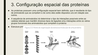 3. Configuração espacial das proteínas
■ As proteínas possuem uma configuração espacial bem definida, que é resultante do tipo
de aminoácido que as compõem e de como eles estão dispostos uns em relação aos
outros.
■ A sequência de aminoácidos irá determinar o tipo de interações possíveis entre as
cadeias laterais que mantêm diversos tipos de ligações e/ou interações entre os vários
grupos funcionais dos aminoácidos que compõem a proteína
■ Estrutura primária, secundária, terciária e quartenária
 