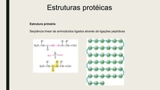 Estruturas protéicas
Estrutura primária
Seqüência linear de aminoácidos ligados através de ligações peptídicas
 
