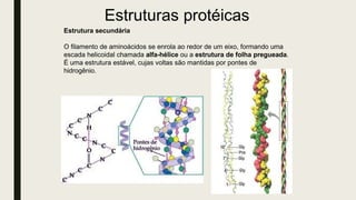 Estruturas protéicas
Estrutura secundária
O filamento de aminoácidos se enrola ao redor de um eixo, formando uma
escada helicoidal chamada alfa-hélice ou a estrutura de folha pregueada.
É uma estrutura estável, cujas voltas são mantidas por pontes de
hidrogênio.
 