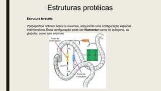 Estrutura terciária
Polipeptídios dobram sobre si mesmos, adquirindo uma configuração espacial
tridimensional.Essa configuração pode ser filamentar como no colágeno, ou
globular, como nas enzimas.
Estruturas protéicas
 