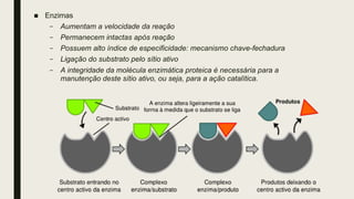 ■ Enzimas
– Aumentam a velocidade da reação
– Permanecem intactas após reação
– Possuem alto índice de especificidade: mecanismo chave-fechadura
– Ligação do substrato pelo sítio ativo
– A integridade da molécula enzimática proteica é necessária para a
manutenção deste sítio ativo, ou seja, para a ação catalítica.
 