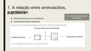 1. A relação entre aminoácidos,
peptídeos
e proteínas
■ Estrutura básica de um aminoácido
■ Aminoácidos formam proteínas
R = varia de acordo com o
aminoácido
 