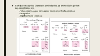 ■ Com base na cadeia lateral dos aminoácidos, os aminoácidos podem
ser classificados em:
– Polares (sem carga, carregados positivamente (básicos) ou
carregados
negativamente (ácidos)).
– Apolares
 