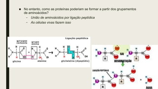 ■ No entanto, como as proteínas poderiam se formar a partir dos grupamentos
de aminoácidos?
– União de aminoácidos por ligação peptídica
– As células vivas fazem isso
 