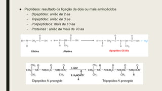 ■ Peptídeos: resultado da ligação de dois ou mais aminoácidos
– Dipeptídeo: união de 2 aa
– Tripeptídeo: união de 3 aa
– Polipeptídeos: mais de 10 aa
– Proteínas : união de mais de 70 aa
 