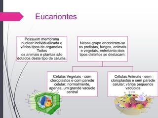 Eucariontes
Possuem membrana
nuclear individualizada e
vários tipos de organelas.
Todos
os animais e plantas são
dotados deste tipo de células.
Nesse grupo encontram-se
os protistas, fungos, animais
e vegetais, entretanto dois
tipos distintos se destacam:
Células Vegetais - com
cloroplastos e com parede
celular; normalmente,
apenas, um grande vacúolo
central
Células Animais - sem
cloroplastos e sem parede
celular; vários pequenos
vacúolos
 