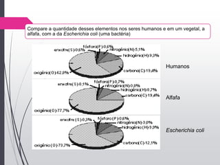 Compare a quantidade desses elementos nos seres humanos e em um vegetal, a
alfafa, com a da Escherichia coli (uma bactéria)
Humanos
Alfafa
Escherichia coli
 