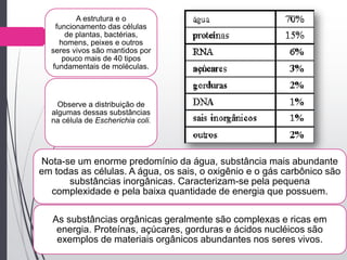 A estrutura e o
funcionamento das células
de plantas, bactérias,
homens, peixes e outros
seres vivos são mantidos por
pouco mais de 40 tipos
fundamentais de moléculas.
Observe a distribuição de
algumas dessas substâncias
na célula de Escherichia coli.
Nota-se um enorme predomínio da água, substância mais abundante
em todas as células. A água, os sais, o oxigênio e o gás carbônico são
substâncias inorgânicas. Caracterizam-se pela pequena
complexidade e pela baixa quantidade de energia que possuem.
As substâncias orgânicas geralmente são complexas e ricas em
energia. Proteínas, açúcares, gorduras e ácidos nucléicos são
exemplos de materiais orgânicos abundantes nos seres vivos.
 