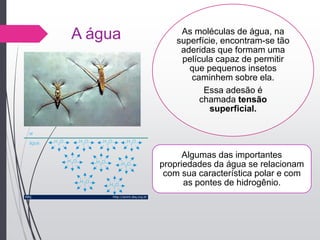 A água As moléculas de água, na
superfície, encontram-se tão
aderidas que formam uma
película capaz de permitir
que pequenos insetos
caminhem sobre ela.
Essa adesão é
chamada tensão
superficial.
Algumas das importantes
propriedades da água se relacionam
com sua característica polar e com
as pontes de hidrogênio.
 