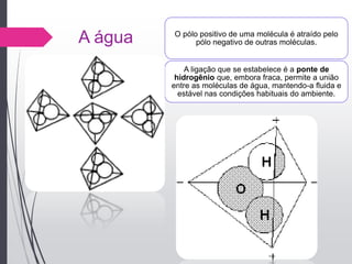 A água O pólo positivo de uma molécula é atraído pelo
pólo negativo de outras moléculas.
A ligação que se estabelece é a ponte de
hidrogênio que, embora fraca, permite a união
entre as moléculas de água, mantendo-a fluida e
estável nas condições habituais do ambiente.
 
