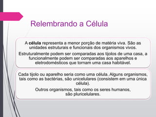 Relembrando a Célula
A célula representa a menor porção de matéria viva. São as
unidades estruturais e funcionais dos organismos vivos.
Estruturalmente podem ser comparadas aos tijolos de uma casa, a
funcionalmente podem ser comparadas aos aparelhos e
eletrodomésticos que tornam uma casa habitável.
Cada tijolo ou aparelho seria como uma célula. Alguns organismos,
tais como as bactérias, são unicelulares (consistem em uma única
célula).
Outros organismos, tais como os seres humanos,
são pluricelulares.
 