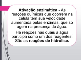 Ativação enzimática - As
reações químicas que ocorrem na
célula têm sua velocidade
aumentada pelas enzimas, que só
agem na presença de água.
Há reações nas quais a água
participa como um dos reagentes.
São as reações de hidrólise.
 