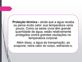 Proteção térmica - ainda que a água receba
ou perca muito calor, sua temperatura varia
pouco. Como os seres vivos têm grande
quantidade de água, estão relativamente
protegidos contra grandes oscilações na
temperatura corporal.
Além disso, a água da transpiração, ao
evaporar, retira calor do corpo, esfriando-o.
 