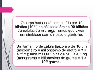 O corpo humano é constituído por 10
trilhões (1013) de células além de 90 trilhões
de células de microrganismos que vivem
em simbiose com o nosso organismo;
Um tamanho de célula típico é o de 10 µm
(micrômetro = milionésimo de metro = 1 ×
10-6 m); uma massa típica da célula é 1 ng
(nanograma = bilionésimo de grama = 1 ×
10-9 grama).
 