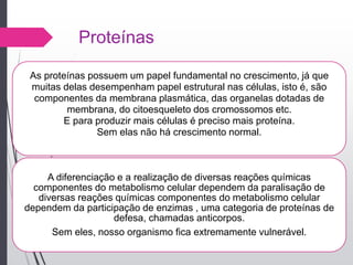 Proteínas
As proteínas possuem um papel fundamental no crescimento, já que
muitas delas desempenham papel estrutural nas células, isto é, são
componentes da membrana plasmática, das organelas dotadas de
membrana, do citoesqueleto dos cromossomos etc.
E para produzir mais células é preciso mais proteína.
Sem elas não há crescimento normal.
A diferenciação e a realização de diversas reações químicas
componentes do metabolismo celular dependem da paralisação de
diversas reações químicas componentes do metabolismo celular
dependem da participação de enzimas , uma categoria de proteínas de
defesa, chamadas anticorpos.
Sem eles, nosso organismo fica extremamente vulnerável.
 