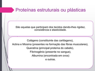 Proteínas estruturais ou plásticas
São aquelas que participam dos tecidos dando-lhes rigidez,
consistência e elasticidade.
Colágeno (constituinte das cartilagens),
Actina e Miosina (presentes na formação das fibras musculares),
Queratina (principal proteína do cabelo),
Fibrinogênio (presente no sangue),
Albumina (encontrada em ovos)
e outras.
 