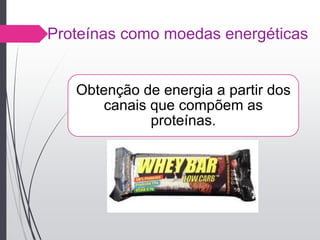 Proteínas como moedas energéticas
Obtenção de energia a partir dos
canais que compõem as
proteínas.
 