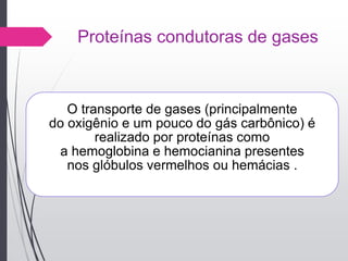 Proteínas condutoras de gases
O transporte de gases (principalmente
do oxigênio e um pouco do gás carbônico) é
realizado por proteínas como
a hemoglobina e hemocianina presentes
nos glóbulos vermelhos ou hemácias .
 