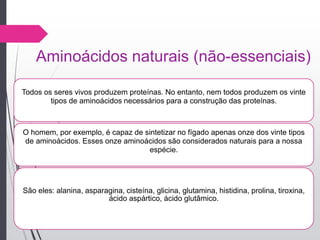 Aminoácidos naturais (não-essenciais)
Todos os seres vivos produzem proteínas. No entanto, nem todos produzem os vinte
tipos de aminoácidos necessários para a construção das proteínas.
O homem, por exemplo, é capaz de sintetizar no fígado apenas onze dos vinte tipos
de aminoácidos. Esses onze aminoácidos são considerados naturais para a nossa
espécie.
São eles: alanina, asparagina, cisteína, glicina, glutamina, histidina, prolina, tiroxina,
ácido aspártico, ácido glutâmico.
 