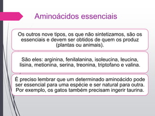 Aminoácidos essenciais
Os outros nove tipos, os que não sintetizamos, são os
essenciais e devem ser obtidos de quem os produz
(plantas ou animais).
São eles: arginina, fenilalanina, isoleucina, leucina,
lisina, metionina, serina, treonina, triptofano e valina.
É preciso lembrar que um determinado aminoácido pode
ser essencial para uma espécie e ser natural para outra.
Por exemplo, os gatos também precisam ingerir taurina.
 