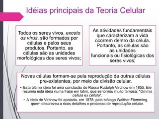 Idéias principais da Teoria Celular
Todos os seres vivos, exceto
os vírus, são formados por
células e pelos seus
produtos. Portanto, as
células são as unidades
morfológicas dos seres vivos;
As atividades fundamentais
que caracterizam a vida
ocorrem dentro da célula.
Portanto, as células são
as unidades
funcionais ou fisiológicas dos
seres vivos;
Novas células formam-se pela reprodução de outras células
pre-existentes, por meio da divisão celular.
• Esta última ideia foi uma conclusão do Russo Rudolph Virchow em 1855. Ele
resumiu esta ideia numa frase em latim, que se tornou muito famosa: "Ommis
cellula ex cellula".
• A ideia de Virchow foi apoiada, em 1878, pelo biólogo Walther Flemming,
quem descreveu a ricos detalhes o processo de reprodução celular.
 