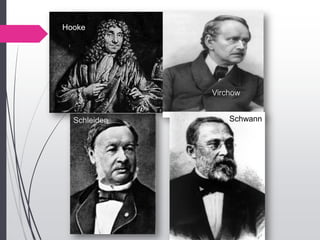 Hooke
Schleiden
Virchow
Schwann
 