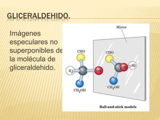 GLICERALDEHIDO.
Imágenes
especulares no
superponibles de
la molécula de
gliceraldehido.
 