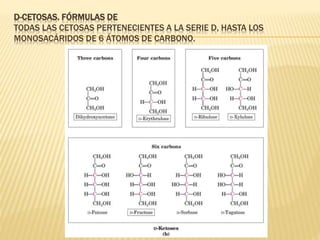 D-CETOSAS. FÓRMULAS DE
TODAS LAS CETOSAS PERTENECIENTES A LA SERIE D, HASTA LOS
MONOSACÁRIDOS DE 6 ÁTOMOS DE CARBONO.
 