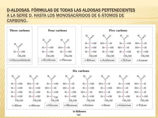D-ALDOSAS. FÓRMULAS DE TODAS LAS ALDOSAS PERTENECIENTES
A LA SERIE D, HASTA LOS MONOSACÁRIDOS DE 6 ÁTOMOS DE
CARBONO..
 