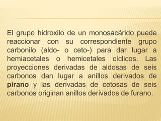 El grupo hidroxilo de un monosacárido puede
reaccionar con su correspondiente grupo
carbonilo (aldo- o ceto-) para dar lugar a
hemiacetales o hemicetales cíclicos. Las
proyecciones derivadas de aldosas de seis
carbonos dan lugar a anillos derivados de
pirano y las derivadas de cetosas de seis
carbonos originan anillos derivados de furano.
 