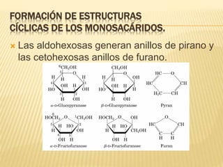FORMACIÓN DE ESTRUCTURAS
CÍCLICAS DE LOS MONOSACÁRIDOS.
 Las aldohexosas generan anillos de pirano y
las cetohexosas anillos de furano.
 