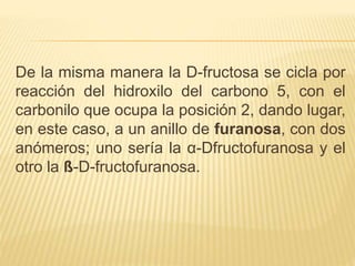 De la misma manera la D-fructosa se cicla por
reacción del hidroxilo del carbono 5, con el
carbonilo que ocupa la posición 2, dando lugar,
en este caso, a un anillo de furanosa, con dos
anómeros; uno sería la α-Dfructofuranosa y el
otro la ß-D-fructofuranosa.
 