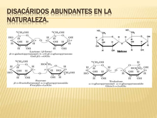 DISACÁRIDOS ABUNDANTES EN LA
NATURALEZA.
 