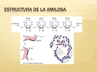 ESTRUCTURA DE LA AMILOSA
 