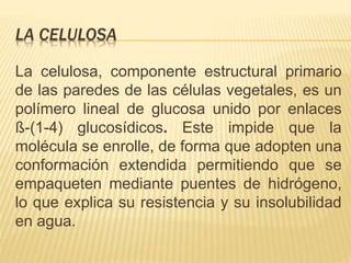 LA CELULOSA
La celulosa, componente estructural primario
de las paredes de las células vegetales, es un
polímero lineal de glucosa unido por enlaces
ß-(1-4) glucosídicos. Este impide que la
molécula se enrolle, de forma que adopten una
conformación extendida permitiendo que se
empaqueten mediante puentes de hidrógeno,
lo que explica su resistencia y su insolubilidad
en agua.
 
