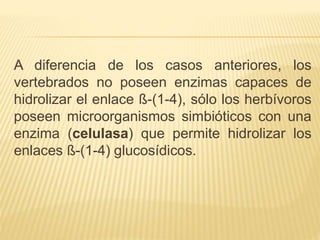 A diferencia de los casos anteriores, los
vertebrados no poseen enzimas capaces de
hidrolizar el enlace ß-(1-4), sólo los herbívoros
poseen microorganismos simbióticos con una
enzima (celulasa) que permite hidrolizar los
enlaces ß-(1-4) glucosídicos.
 