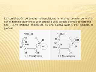 La combinación de ambas nomenclaturas anteriores permite denominar
con el término aldohexosa a un azúcar (-osa) de seis átomos de carbono (-
hex-), cuyo carbono carbonílico es una aldosa (aldo-). Por ejemplo, la
glucosa.
 