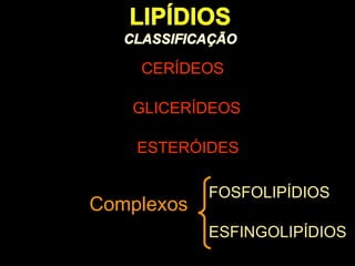 CERÍDEOS

   GLICERÍDEOS

    ESTERÓIDES

            FOSFOLIPÍDIOS
Complexos
            ESFINGOLIPÍDIOS
 