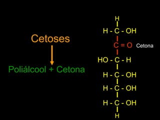 H

                       H - C - OH
     Cetoses
                          C=O      Cetona

                      HO - C - H
Poliálcool + Cetona
                       H - C - OH
                       H - C - OH

                       H - C - OH
                           H
 