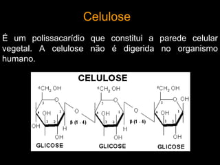 Celulose
É um polissacarídio que constitui a parede celular
vegetal. A celulose não é digerida no organismo
humano.
 