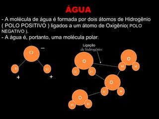 ÁGUA
- A molécula de água é formada por dois átomos de Hidrogênio
( POLO POSITIVO ) ligados a um átomo de Oxigênio( POLO
NEGATIVO ).
- A água é, portanto, uma molécula polar.
                                          Ligação
              o   _                   de hidrogênio


                                          o                       o
     H                                                        H       H
                      H
                                  H               H
      +                   +
                                                          o
                                                      H       H
                                      O
                              H               H
 