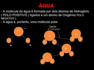 ÁGUA
- A molécula de água é formada por dois átomos de Hidrogênio
( POLO POSITIVO ) ligados a um átomo de Oxigênio( POLO
N...