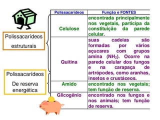 
Polissacarídeos: os mais complexos
 Como o nome sugere (poli é um termo derivado do grego
e quer dizer muitos), os polissacarídeos são compostos
macromoleculares (moléculas gigantes), formadas pela
união de muitos (centenas) monossacarídeos. Os três
polissacarídeos mais conhecidos dos seres vivos são
amido, glicogênio e celulose.
 Ao contrário da glicose, os polissacarídeos dela derivados
não possuem sabor doce, nem são solúveis em água.
CLASSIFICAÇÃO DOS
CARBOIDRATO
 