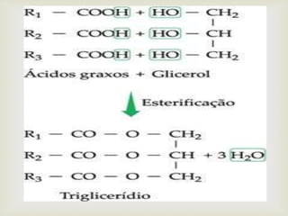
 Como o glicerol é um triálcool (possui três
terminações OH na molécula), três ácidos graxos a
ele se ligam, formando-se o chamado triglicerídeos.
Nos seres vivos, existem diversos tipos de
triglicerídeos, uma vez que são muitos os tipos de
ácidos graxos deles participantes.
LIPÍDIOS
 