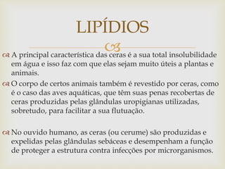  A principal característica das ceras é a sua total insolubilidade
em água e isso faz com que elas sejam muito úteis a plantas e
animais.
 O corpo de certos animais também é revestido por ceras, como
é o caso das aves aquáticas, que têm suas penas recobertas de
ceras produzidas pelas glândulas uropigianas utilizadas,
sobretudo, para facilitar a sua flutuação.
 No ouvido humano, as ceras (ou cerume) são produzidas e
expelidas pelas glândulas sebáceas e desempenham a função
de proteger a estrutura contra infecções por microrganismos.
LIPÍDIOS
 