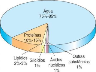 
 Para que ocorra a produção de moléculas, muitas
reações químicas devem ocorrer. O metabolismo é o
conjunto de reações químicas que ocorrem em uma
célula, órgão ou organismo.
 O metabolismo está dividido em:
-Anabolismo= Corresponde a síntese de moléculas
- Catabolismo= Corresponde à degradação de
moléculas maiores em moléculas menores.
 