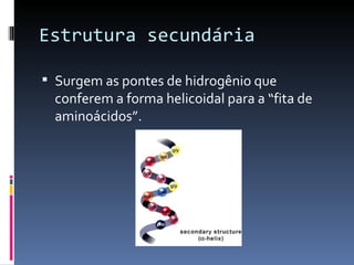 Estrutura secundária

 Surgem as pontes de hidrogênio que
  conferem a forma helicoidal para a “fita de
  aminoácidos”.
 