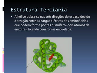 Estrutura Terciária
 A hélice dobra-se nas três direções do espaço devido
  a atração entre as cargas elétricas dos aminoácidos
  que podem forma pontes bissulfeto (dois átomos de
  enxofre), ficando com forma enovelada.
 
