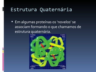 Estrutura Quaternária

 Em algumas proteínas os ‘novelos’ se
  associam formando o que chamamos de
  estrutura quaternária.
 